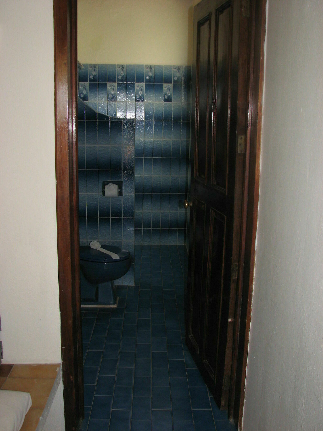 רינקון דה גוויאביטוס Bungalows El Delfin מראה חיצוני תמונה